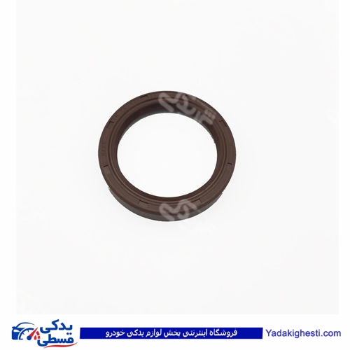 پژو کاسه نمد عقب گیربکس آریسان 9000403020