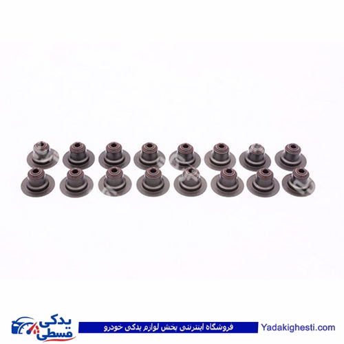 ال 90 لاستیک سوپاپ دینا پارت دست 16 عددی 2202039 L90 ( عمده )