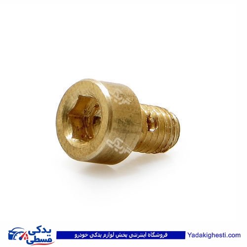 پژو پیچ هواگیری درب ترموستات آلنی 405 دینا پارت 1202244