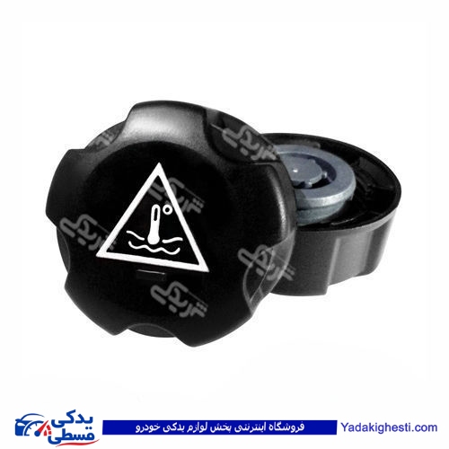 ال 90 درب مخزن انبساط دینا پارت 2202036 L90 ( عمده )