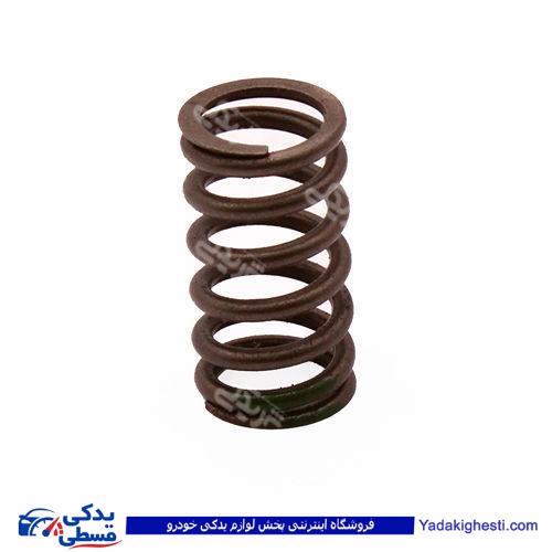 پژو فنر سوپاپ 206 t5 دینا پارت 1602193