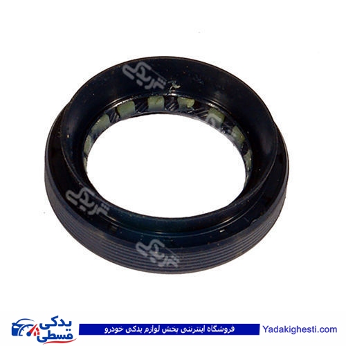 پژو کاسه نمد پلوس 206 بزرگ CBS 921
