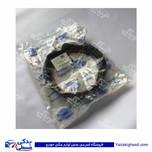 ال 90 مهره پمپ بنزین (رینگی) با اورینگ دینا پارت 2202056 L90 ( عمده )