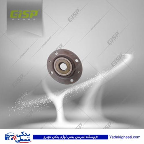 پژو توپی چرخ عقب 206 تیپ 2 ABS مگنتی GISP 201023