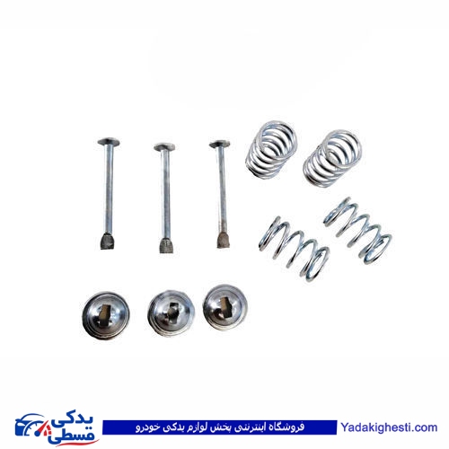 پژو میخ و پولک کفشک 405 و سمند آذین 9000562135