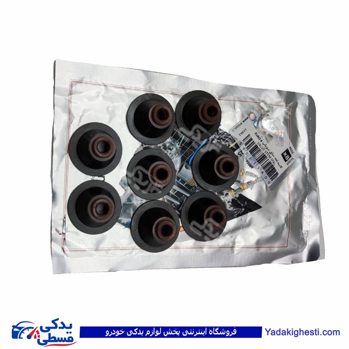 پراید لاستیک سوپاپ یورو 4 ویژن SV0135A00