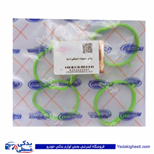 واشر منیفولد (عینکی ) تیبا دینا پارت 2502051