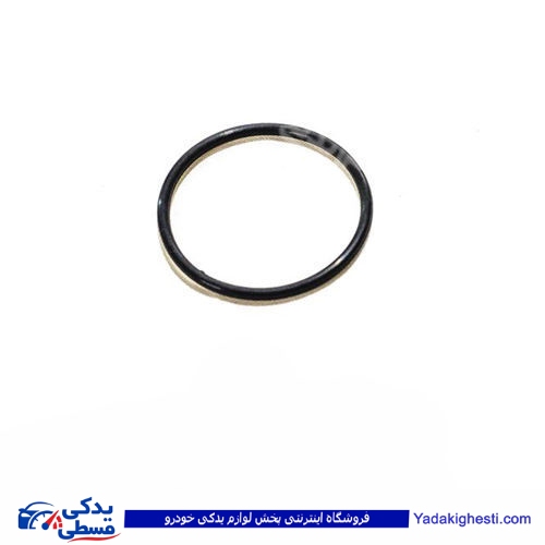 پراید اورینگ دلکو انژکتوری هانترپارت  HUNTER  417772 ( عمده )