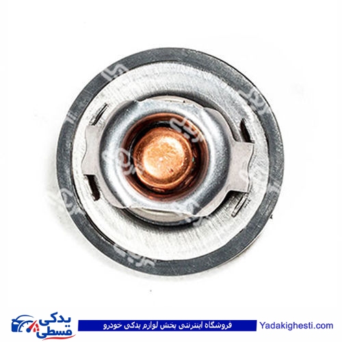 ال 90 ترموستات 76 درجه هانترپارت HUNTER 500297 L90 ( عمده )