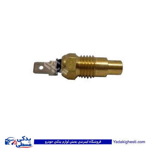 نیسان مهره آب کاربراتوری 9000551049