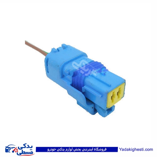 پژو سوکت سوزنی 2 فیش آبی 206 9000143237