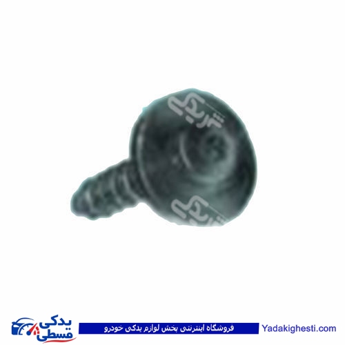 پژو پیچ پایه رادیات 206 9000803424