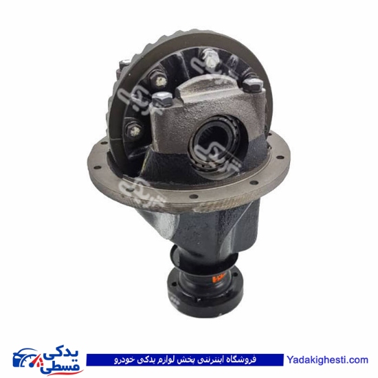 کله گاوی روآ ROA سال دیناپارت 2304001
