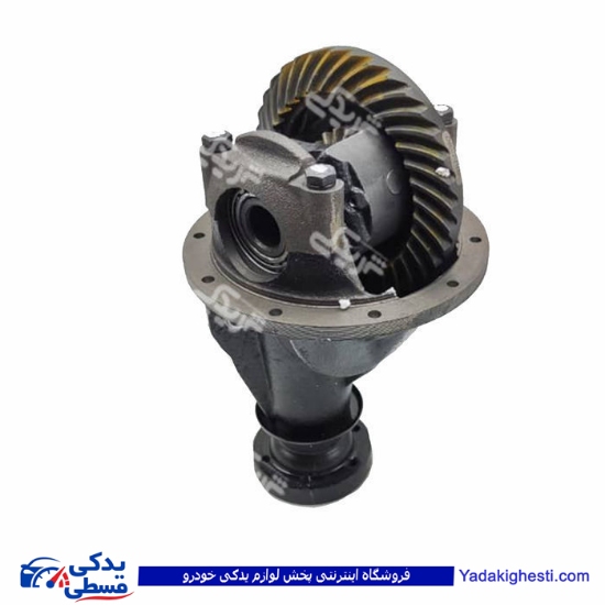 کله گاوی روآ ROA سال دیناپارت 2304001