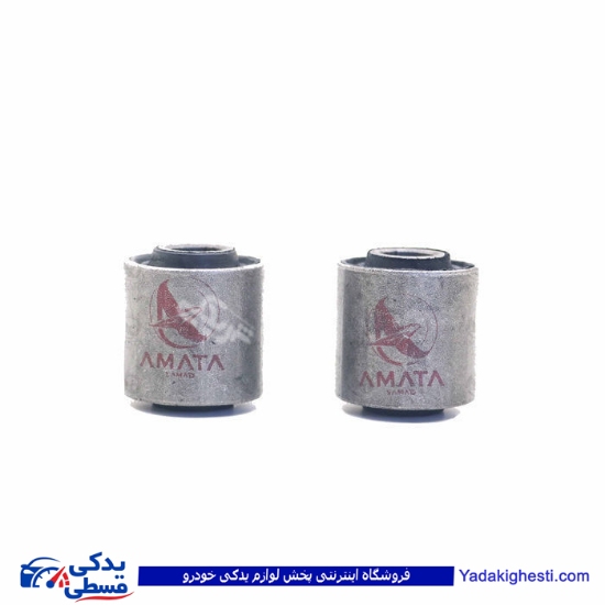 پژو بوش دو شاخه رام 405 آماتاصمد 11040578