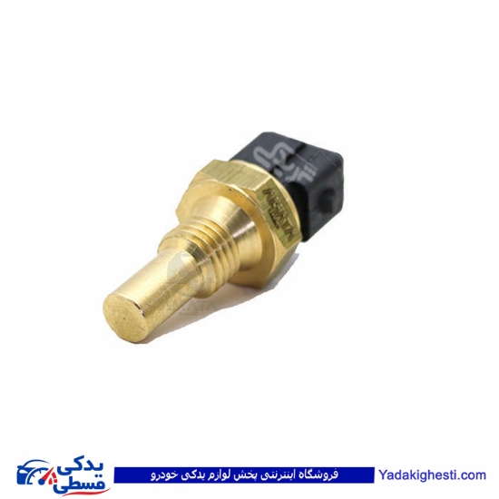 پراید مهره آب دو فیش سر مشکی زیمنس آماتاصمد 14080028