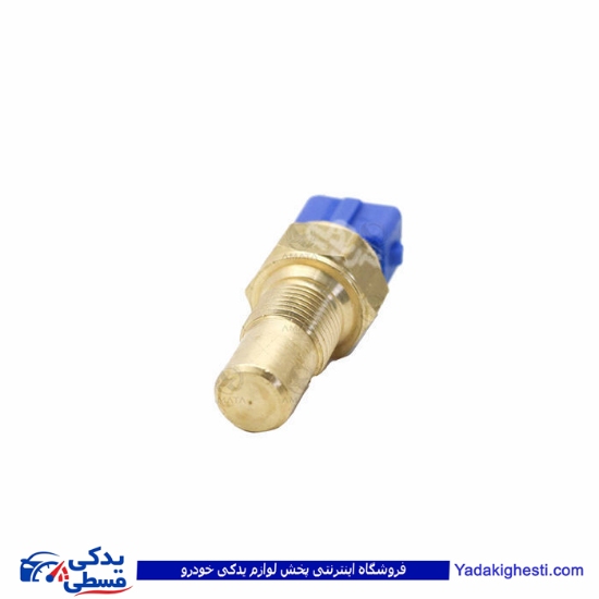 پژو مهره آب 405 تک فیش آبی آماتاصمد 11080018