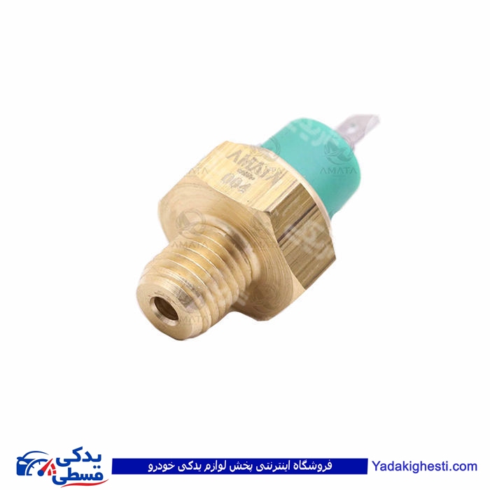 پژو مهره روغن سمند EF7 آماتاصمد 13080118