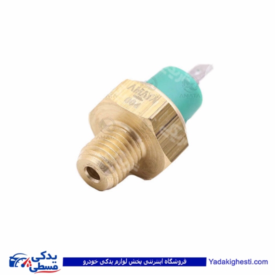 پژو مهره روغن سمند EF7 آماتاصمد 13080118