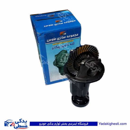 کله گاوی آریسان طوس