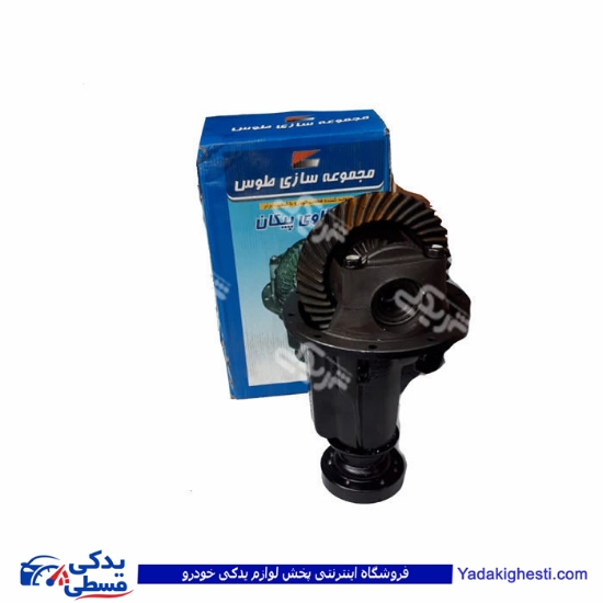 کله گاوی آریسان طوس