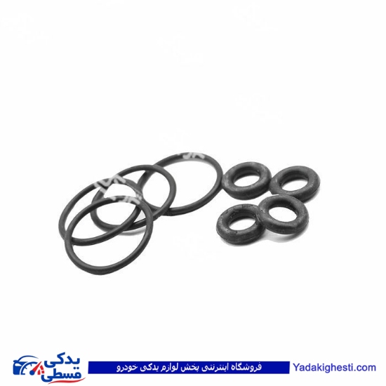 پژو اورینگ سوزن انژکتور 405 آماتاصمد 11030718