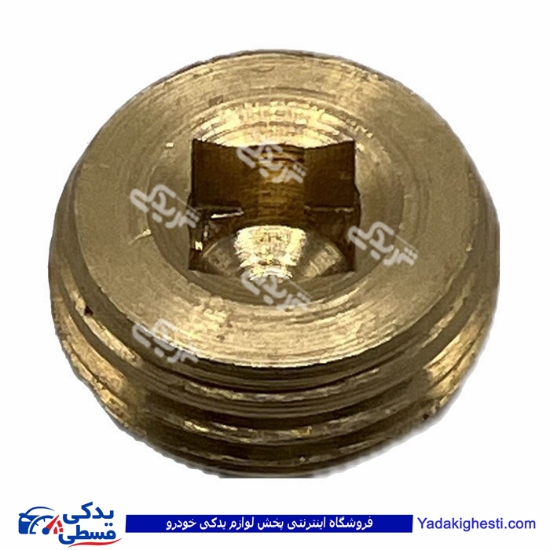 پژو کورکن کانال روغن اویل پمپ 405 و سمند 9000803366