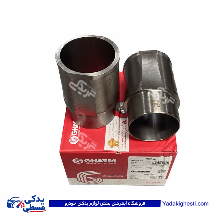 پژو بوش سیلندر تکی 405 قائم 9000551231