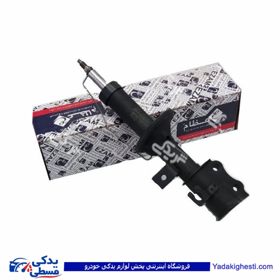 ساینا کمک جلو چپ عظام 3183072