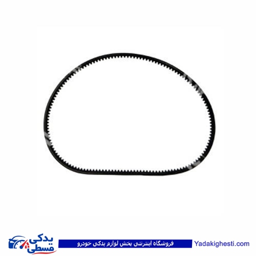 تسمه دینام پیکانی 838_835 رایکالتون 123500003
