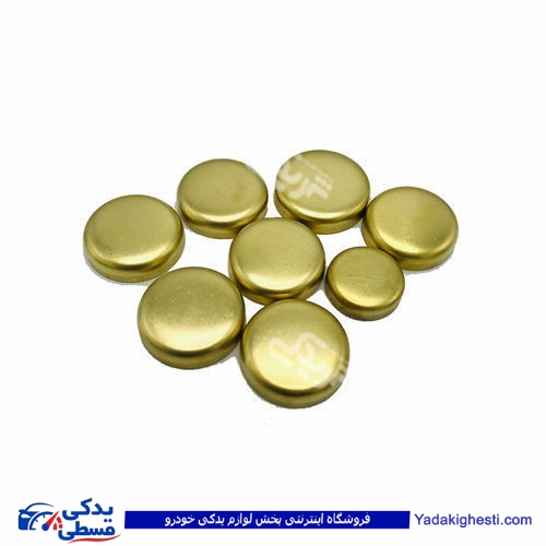 پولک آب اونجر تکی پیکان ایساکو(مربوط به عقب سیلندر) 0380600999