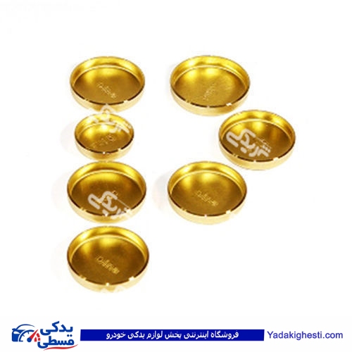 پولک آب اونجر تکی پیکان ایساکو(مربوط به عقب سیلندر) 0380600999