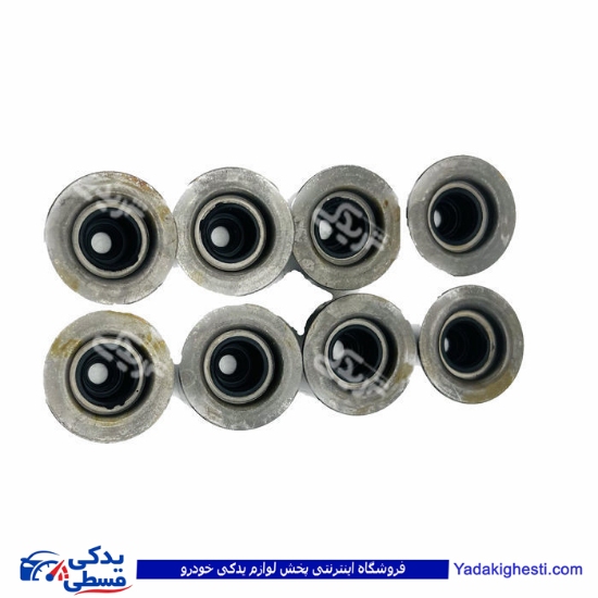 تیبا لاستیک سوپاپ سایپا یدک 100641PM9