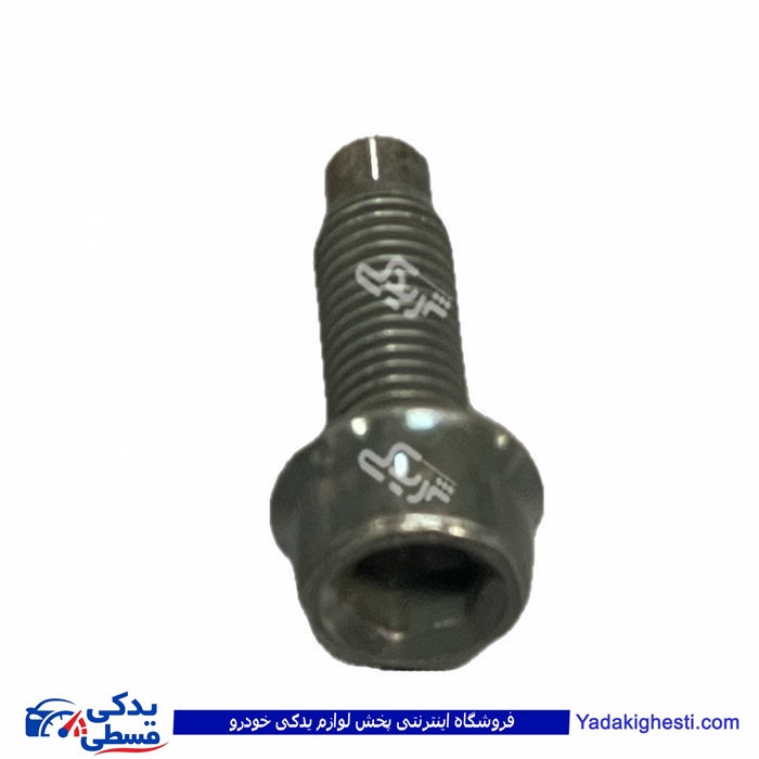 پژو پیچ دور کارتل 405 آلنی آماتاصمد 11090118