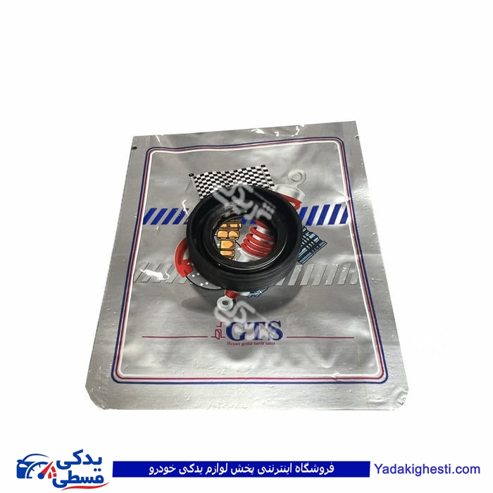 پژو کاسه نمد پلوس 405 کوچک GTS