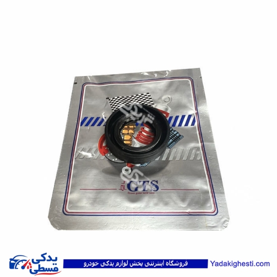 پژو کاسه نمد پلوس 405 کوچک GTS