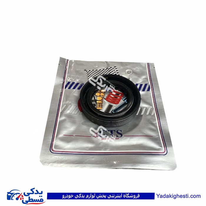 پژو کاسه نمد پلوس 405 بزرگ GTS