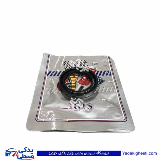 پراید کاسه نمد پلوس GTS