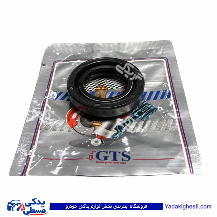 ريو کاسنمد پلوس GTS کد 11018