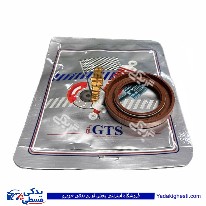 کاسه نمد میل سوپاپ ریو GTS کد 11019