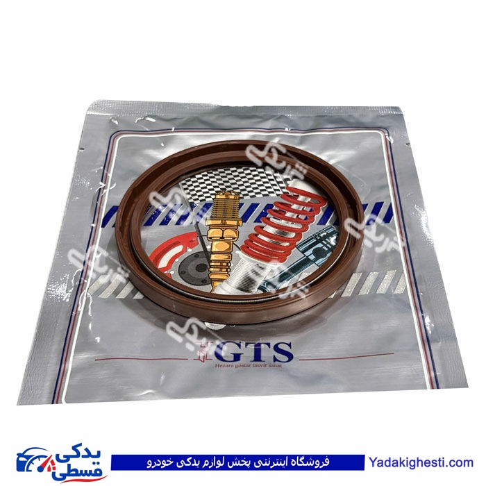 ریو کاسه نمد عقب میل لنگ GTS کد 11044