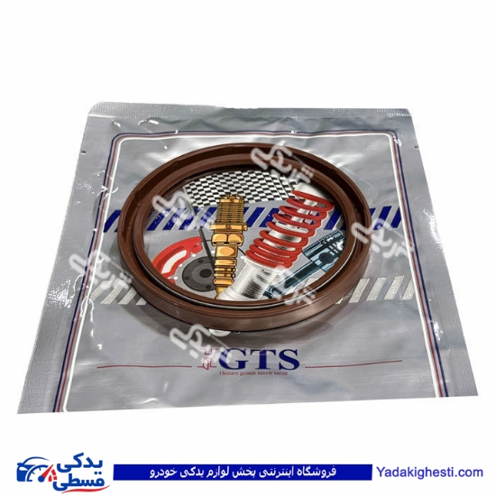 ریو کاسه نمد عقب میل لنگ GTS کد 11044