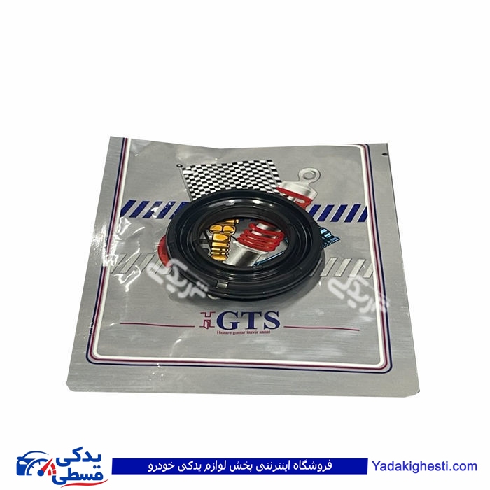 پژو کاسه نمد ژامبون ( اکسل عقب ) 206 GTS 9000240130