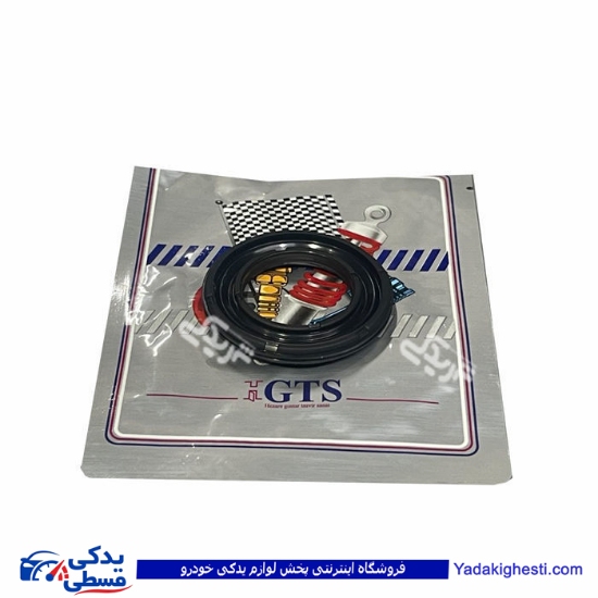 پژو کاسه نمد ژامبون ( اکسل عقب ) 206 GTS 9000240130