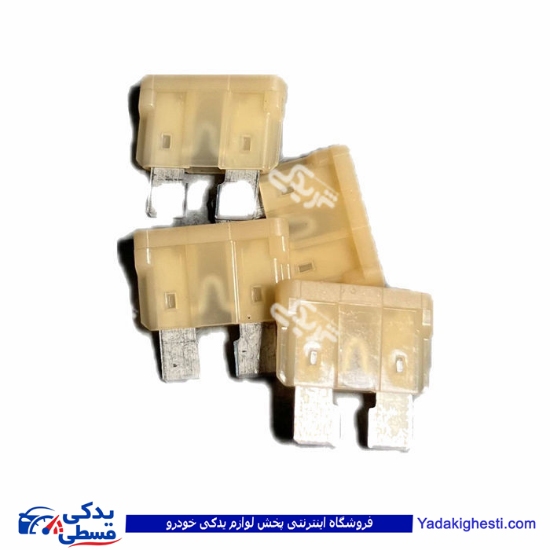 فیوز دو شاخ 25 آمپر 32 ولت وسط سفید ایساکو 1250700299