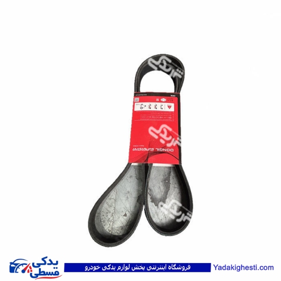 تسمه دینام 206 تیپ 5 1568 رانا دانگیل 9000916068