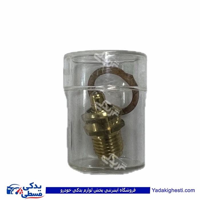 سوزن شناور پژو 2000 طرح فرانسوی