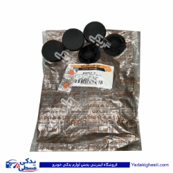 درپوش پیچ دستگیره درب بازكن داخلی تیبا سایپایدک 102713