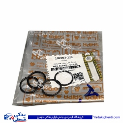 اورینگ پمپ روغن هیدرولیك تیبا سایپایدک 109903