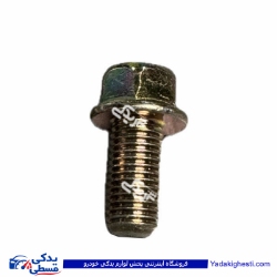 پیچ‌ شاهین سایپایدک 801831